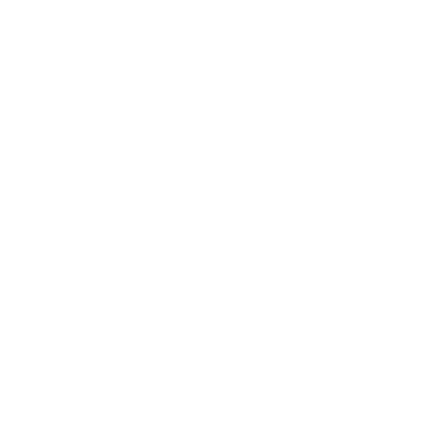 Apex Mobile Logo